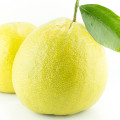 Bergamot - برگاموت