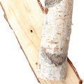 Birch - چوب درخت قان