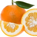 Bitter Orange - نارنج