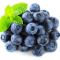 Blueberry - بلوبری