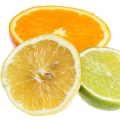 Citruses - مرکبات