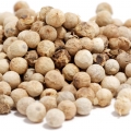 Coriander - گشنیز