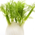 Fennel - رازیانه