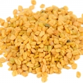 Fenugreek - شنبلیله