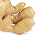 Ginger - زنجبیل