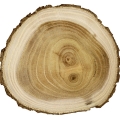Guaiac Wood - چوب گایاک