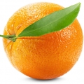 Orange - پرتقال