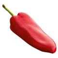 Paprika - فلفل پاپریکا