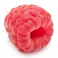 Raspberry - تمشک