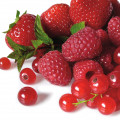 Red Fruits - میوه های قرمز
