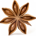 Star Anise - بادیان ختایی