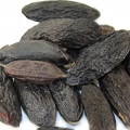 Tonka Bean - دانه تونکا