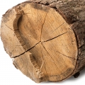 Woody Notes - روایح چوبی