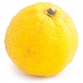 Yuzu - یوزو
